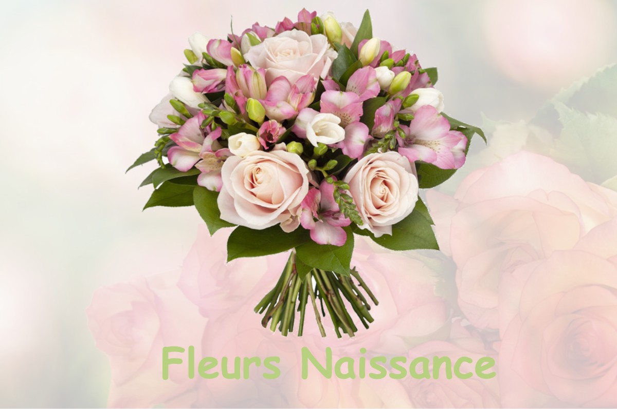 fleurs naissance SAINT-MARTIN-DE-JUSSAC